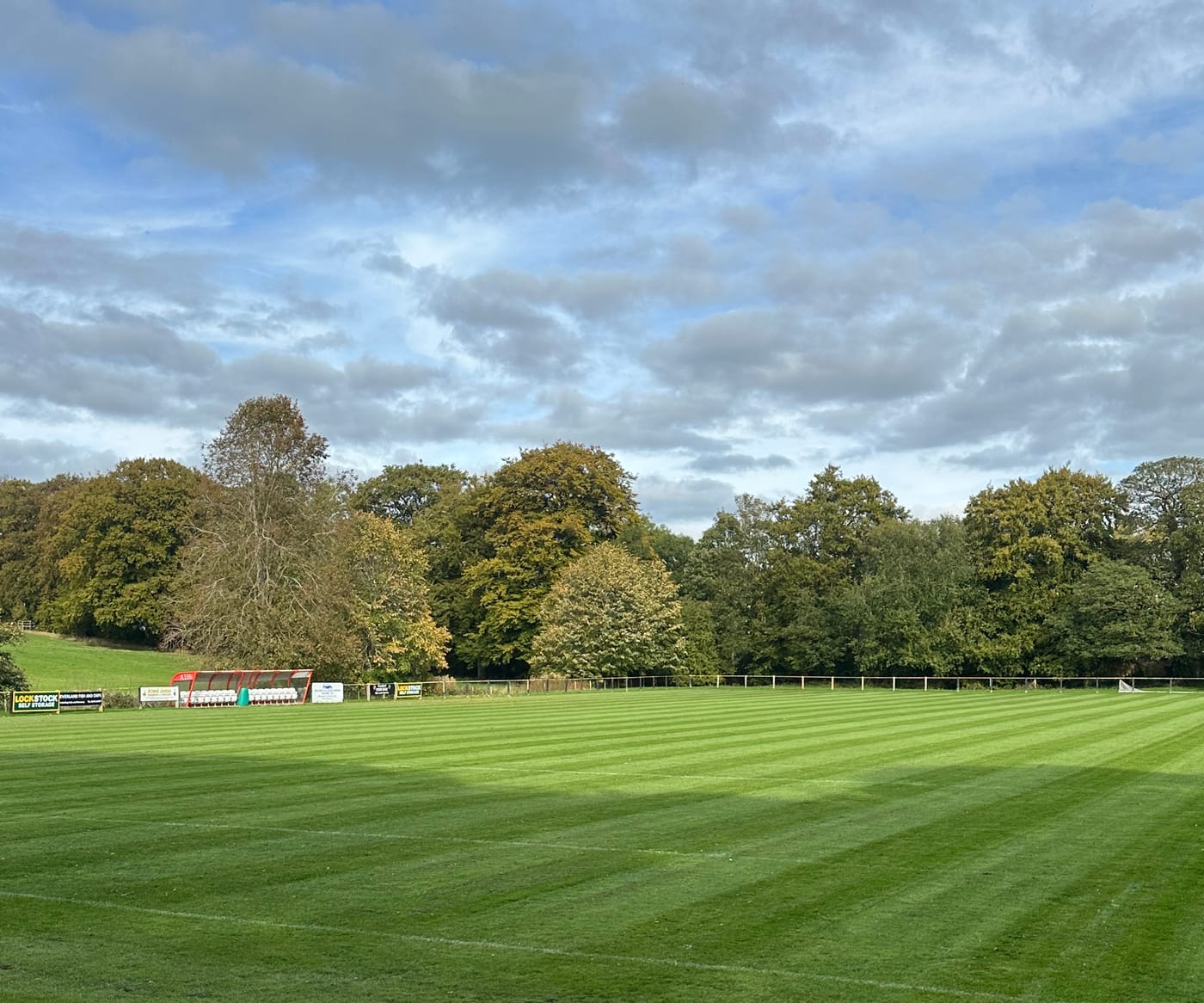 Freshly striped football pitch at Phil's club, with the dugout and treeline beyond
